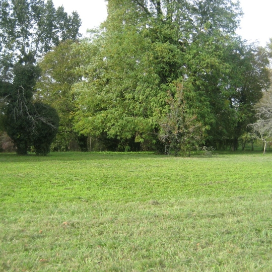  GERBEAUD IMMOBILIER : Terrain | BARSAC (33720) | 0 m2 | 107 000 € 