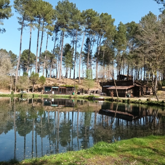 GERBEAUD IMMOBILIER : Domaines / Propriétés | VILLANDRAUT (33730) | 81.00m2 | 416 000 € GERBEAUD IMMOBILIER : Domaines / Propriétés | VILLANDRAUT (33730) | 81.00m2 | 416 000 €